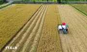 8 nghị quyết đơn giản hóa thủ tục hành chính, điều kiện kinh doanh