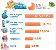 9 mặt hàng Việt xuất khẩu đạt kim ngạch trên 25 tỷ USD mỗi loại