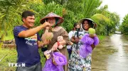 Đưa sản phẩm OCOP thành đại sứ du lịch tỉnh Khánh Hòa