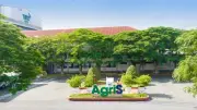 AgriS quý 3: Doanh thu tăng 12,9%, mảng gạo vượt 1.000 tỷ đồng