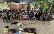 An Giang triệt phá điểm đánh bạc đá gà, bắt giữ 36 đối tượng và thu giữ hàng trăm triệu đồng