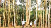 An Mã hồi sinh: Từ vùng đất chó ăn đá thành màu xanh no ấm