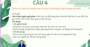Bí quyết ôn thi Ngữ văn: Chuyên đề 2 về đọc hiểu văn bản thông tin