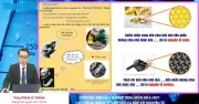 Bí Quyết Ôn Thi THPT 2026 Môn Hóa: Nắm Vững Cấu Tạo Và Lớp Vỏ Nguyên Tử