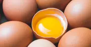 Bác sĩ tiết lộ điều gì xảy ra nếu bạn ăn trứng mỗi ngày trong 2 tuần