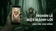 Bóc Trần Đường Dây Nuôi Nhốt Khỉ Trái Phép Để Sản Xuất Video Kiếm Tiền Tỷ
