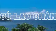 Bãi Làng Cù Lao Chàm: Thiên Đường Ảnh Đẹp Và Trải Nghiệm Khó Quên