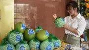 Bưởi Đồng Tháp Chính Thức Xuất Khẩu Sang Australia: Bước Đột Phá Cho Nông Sản Việt