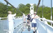 Biến Nguy Thành Cơ: Đà Lạt Tận Dụng Thách Thức Để Phát Triển Du Lịch Bền Vững