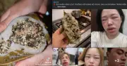 Bánh Trứng Kiến Gây Sốt Mạng Xã Hội: Đặc Sản Hiếm Và Cảnh Báo Dị Ứng