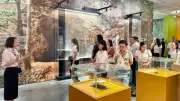 Bảo Tàng Hà Nội Chính Thức Được Công Nhận Là Điểm Du Lịch Thủ Đô