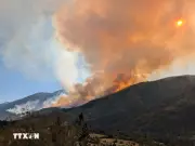 Canada Đối Mặt Nguy Cơ Cháy Rừng Nghiêm Trọng Do Hạn Hán Và Biến Đổi Khí Hậu