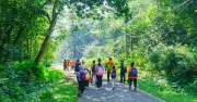 Cúc Phương điều chỉnh giờ đón khách, khuyến khích đặt vé trực tuyến dịp lễ