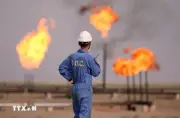 Các thành viên OPEC không có ý định rời khỏi OPEC như UAE
