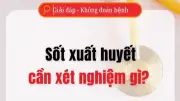 Các Xét Nghiệm Cần Thiết Để Phát Hiện Sốt Xuất Huyết Chính Xác