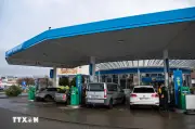 Châu Âu Vật Lộn Giữa Cơn Bão Giá Nhiên Liệu Và Mục Tiêu Năng Lượng Xanh