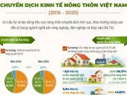 Chuyển dịch kinh tế nông thôn Việt Nam: Nhìn lại giai đoạn 2016-2025 và định hướng tương lai