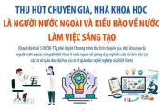 Chuyên Gia Nước Ngoài: Nguồn Lực Quý Giá Cho Sự Phát Triển Khoa Học Việt Nam
