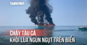 Cận cảnh chữa cháy tàu cá trên biển Phan Thiết: Nỗ lực cứu hộ trong đêm