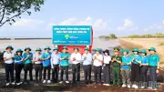 Cần Thơ: Trồng 240.000 Cây Rừng Ngập Mặn, Mở Rộng Chương Trình Xanh Toàn Quốc