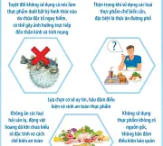Cảnh báo ngộ độc từ cá nóc và thực phẩm đường phố: Nguy cơ tiềm ẩn khắp nơi