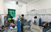 Cấp cứu thành công 3 bệnh nhân sốc phản vệ do ong đốt tại An Giang