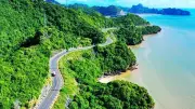 Cát Bà Khoác Áo Hoa Giấy, Đón Làn Sóng Du Lịch Xanh Bùng Nổ