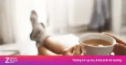Cuốn Sách Khám Phá Trọn Vẹn Lịch Sử Và Văn Hóa Trà: Từ Nguồn Gốc Đến Nghi Lễ Thưởng Thức