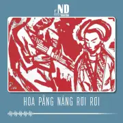 Cây pằng nảng khổng lồ và những câu chuyện đầy cảm xúc về mùa xuân