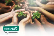 Doanh nghiệp Việt Nam chuyển từ nhận thức sang hành động trong tiêu chí S của ESG