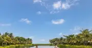 Du lịch bền vững: Từ vườn rau hữu cơ đến công nghệ AI tại các khách sạn Meliá