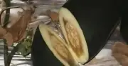 Gõ đũa giữa đêm, người đàn ông gây sốt mạng, kiếm hàng trăm triệu mỗi tháng