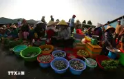 Ghế thăm khu chợ gây thương nhớ cho du khách ở Cần Thơ