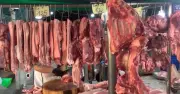 Giá Thịt Heo Biến Động Trái Chiều: Miền Bắc Tăng, Miền Nam Giảm