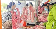 Giá thịt heo bán lẻ ổn định, giá heo hơi tăng nhẹ tại miền Bắc và miền Trung