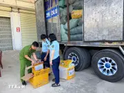 Gia Lai phát hiện nhiều sản phẩm mạo danh nhãn hiệu nổi tiếng