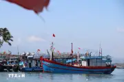 Gia Lai đẩy mạnh phát triển nông nghiệp công nghệ cao giai đoạn 2026-2030