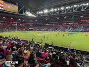 Giải Bóng Bầu Dục 7 Người Quốc Tế: Ngày Hội Thể Thao và Âm Nhạc Tại Hồng Kông