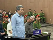 Giám đốc Công ty Hoàng Dân kháng cáo xin giảm nhẹ hình phạt