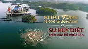 Hồ chứa Việt Nam: Tiềm năng khổng lồ và thách thức trong bảo vệ nguồn lợi thủy sản