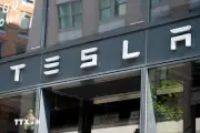 Hà Lan Cấp Phép Cho Hệ Thống Lái Xe Tự Động Có Giám Sát Của Tesla