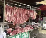 Hà Nội khởi tố 8 bị can trong vụ đưa thịt lợn nhiễm bệnh vào trường học