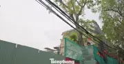 Hà Nội xử phạt nặng chủ đầu tư và đơn vị phá dỡ gây 'bão bụi' ở phố Cảm Hội