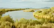 Hồ Salton: 'Cơn sốt vàng trắng' lithium hứa hẹn đổi đời nhưng đối mặt với tranh cãi môi trường