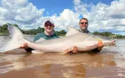 Hai anh em Brazil bắt được cá trê piraíba khổng lồ dài 2 mét sau 9 năm săn đuổi