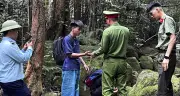 Hai du khách bị lạc trong rừng Tây Yên Tử, một người bị ong đốt