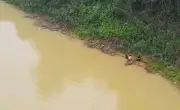 Hai học sinh Nghệ An lao xuống sông cứu bạn nữ thoát chết