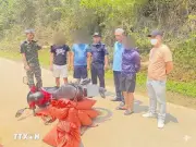 Hải quân phối hợp thu giữ hơn 59 kg vây nghi của tê tê tại Cao Bằng