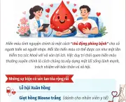Hiến máu tình nguyện chủ động: Hành động thiết thực phòng bệnh vì cộng đồng