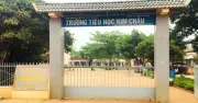 Hiệu trưởng Tiểu học Kim Châu bị cách chức vì loạt sai phạm nghiêm trọng